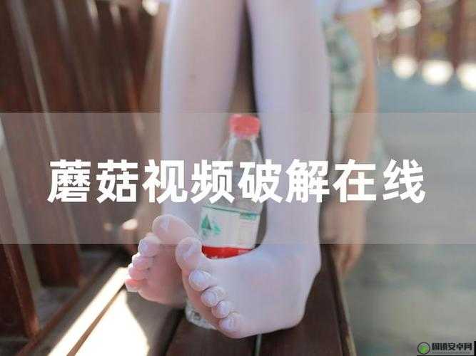 蘑菇视频 mogu 安装包：畅享精彩视频无极限